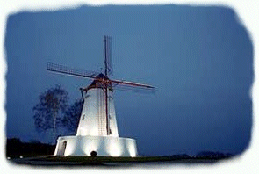 ostiches.gif 259x174