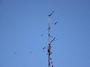 IMG_0354.JPG