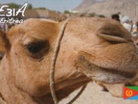 E31A  -  CW - SSB Year: 2017 Band: 10, 12, 15, 17, 20m