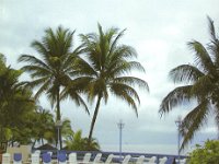 TR0A  -  CW - SSB Year: 2002 Band: 12m