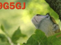 9G5GJ  -  CW Year: 2005 Band: 15m