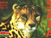 5Z1A  -  CW Year: 2005 Band: 20m