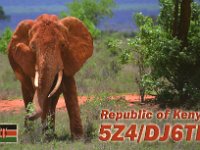 5Z4/DJ6TF  -  CW Year: 2016 Band: 12, 17, 20m