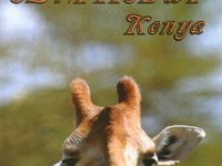 5Z4/PA3EWP  -  CW Year: 2009 Band: 17m