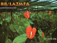 3B8/LA7MFA  -  CW Year: 2001 Band: 10, 12, 15, 17, 20, 30m Specifics: IOTA AF-049 mainland Mauritius