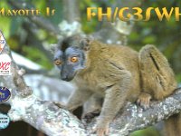 FH/G3SWH  -  CW Year: 2009 Band: 12, 15, 17m Specifics: IOTA AF-027 Grande Terre island