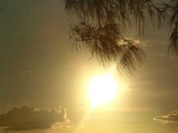 FR8TZ  -  CW Year: 2023 Band: 10m Specifics: IOTA AF-016 mainland Reunion