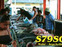S79SO  - CW Year: 2004 Band: 10, 17m Specifics: IOTA AF-024 Mahe island