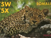 T5X  -  CW Year: 2001 Band: 10, 12, 15, 17m Specifics: Mogadishu