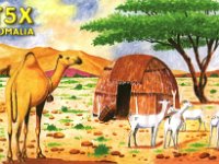 T5X  -  CW Year: 2003 Band: 17, 30m Specifics: Mogadishu