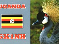 5X1NH  -  CW - SSB Year: 2007, 2008, 2009, 2011 Band: 10, 12, 15, 17, 20, 30m