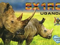 5X1RO  -  CW Year: 2012 Band: 12, 15, 17m