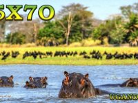 Uganda