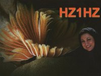 HZ1HZ  - SSB Year: 2015 Band: 15m