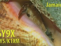 6Y9X  - SSB Year: 2015 Band: 15, 20m Specifics: IOTA NA-097 mainland Jamaica