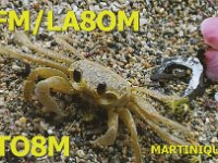 FM/LA8OM | TO8M  - CW Year: 2015 Band: 20m | 10m Specifics: IOTA NA-107 mainland Martinique