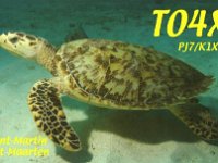 TO4X  - SSB Year: 2008 Band: 15, 20m Specifics: IOTA NA-105 mainland Saint Martin