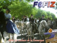 F6FIZ  - CW Year: 2009 Band: 10, 20m