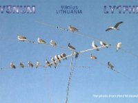LY3UM  - CW - SSB Year: 2004, 2005 Band: 12, 17m