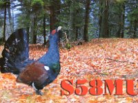 S58MU  - CW Year: 2010 Band: 30m