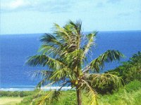 KH0/JM1LRQ  - CW - SSB Year: 2001, 2002 Band: 10, 17, 20m Specifics: IOTA OC-086 Saipan island