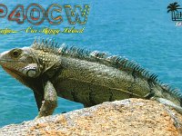 P40CW  - SSB Year: 2006 Band: 17m Specifics: IOTA SA-036 mainland Aruba