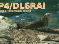 P4/DL6RAI  - CW Year: 2017 Band: 15m Specifics: IOTA SA-036 mainland Aruba