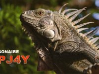 PJ4Y  - CW Year: 2017 Band: 15, 20m Specifics: IOTA SA-006 Bonaire island