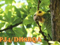 PJ4/DH8BQA  - CW Year: 2017 Band: 15, 17m Specifics: IOTA SA-006 Bonaire island
