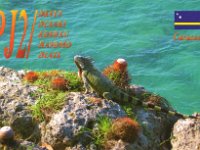 PJ2/DL8AKI  - CW Year: 2012 Band: 10m Specifics: IOTA SA-099 Curacao island