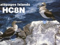 Galapagos Islands