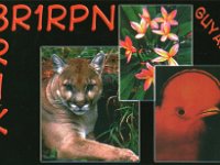 8R1K  - CW - SSB Year: 2004, 2008 Band: 15, 20m