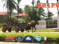 8R1PW  - CW Year: 2008 Band: 20, 30m