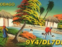 9Y4/DL7DF  - CW - SSB Year: 2003 Band: 10, 17, 30, 40m Specifics: IOTA SA-009 Tobago island