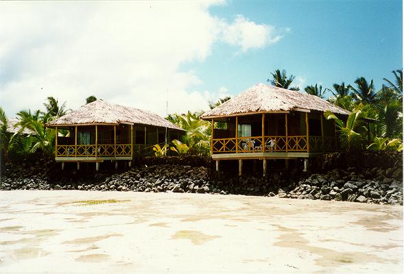 axu1.JPG (44970 bytes)