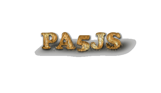 pa5js.gif (20520 bytes)