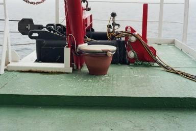 condensatormicrofoon