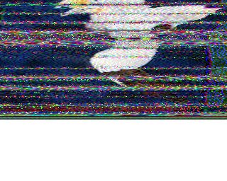 PD5JOS image#12