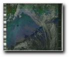 [Click to enlarge]