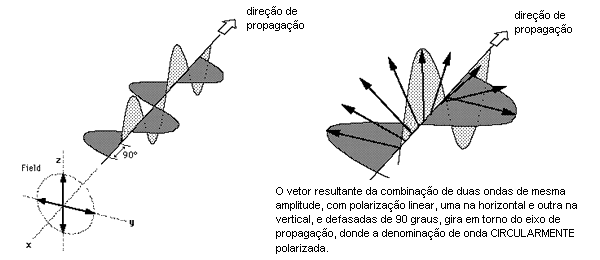 Onda cisalhantes sendo re-polarizadas ao atravessar um meio