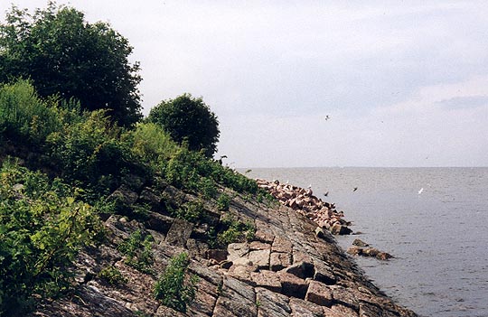 Severnyy Fort Is., June-July 2000
