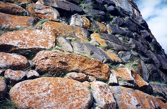 Solovetskie Islands, July 2000