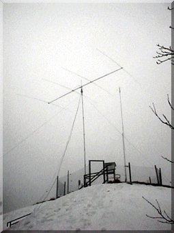 R_21mhz.gif (59004 bytes)