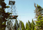 Antenna on the ground