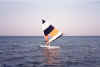 surfarxar210.JPG (31869 bytes)