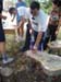 dsc03566_small.jpg