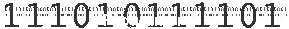 Programer