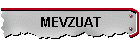 MEVZUAT