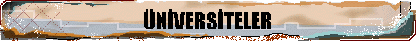NİVERSİTELER
