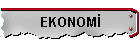 EKONOMİ